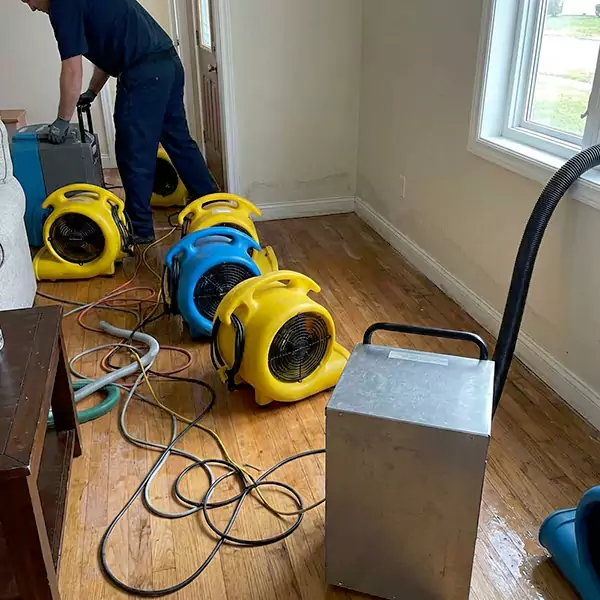 Water Mitigation Services in Seaside, CA