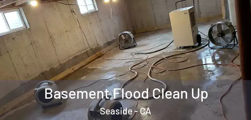Basement Flood Clean Up Seaside - CA