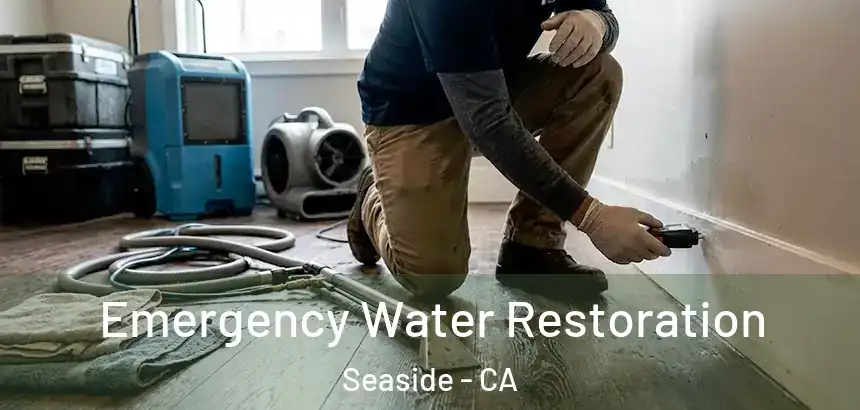 Emergency Water Restoration Seaside - CA