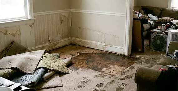 Why Choose Us For Water Damage Restoration Services in Seaside?