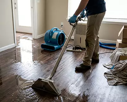 Flood Restoration