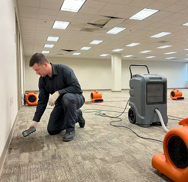 Why Businesses Choose Seaside Water Damage Restoration for Commercial Water Damage in Seaside, CA?