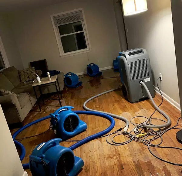Why Homeowners & Businesses Choose Seaside Water Damage Restoration for Emergency Water Restoration in Seaside, CA?