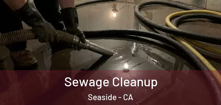 Sewage Cleanup Seaside - CA