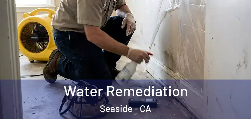 Water Remediation Seaside - CA